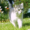 Photo de Miss