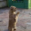 Photo de Yellow
