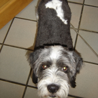 Photo de profil de Fifi