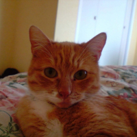 Photo de profil de Luna
