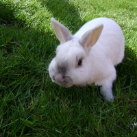 Photo de profil de Léo