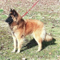 Photo de profil de Dido
