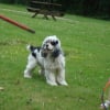 Photo de Virgule