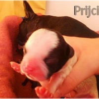 Photo de profil de Gucci 