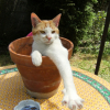 Photo de Bouchon