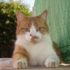 Photo de Zoé