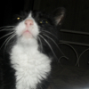 Photo de Princesse