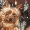 Photo de Stela