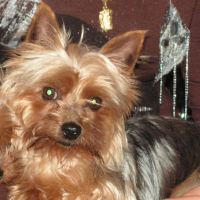 Photo de profil de Stela