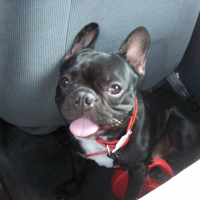 Photo de profil de Walle