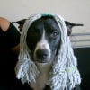 Photo de Rocco