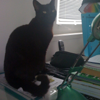 Photo de profil de Rocky