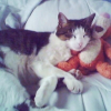 Photo de Lola