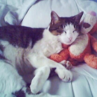 Photo de profil de Lola
