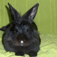 Photo de profil de Boudinet