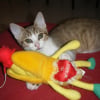 Photo de Malou