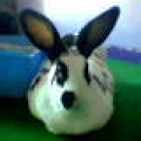 Photo de profil de Roger