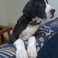 Photo de profil de Engy