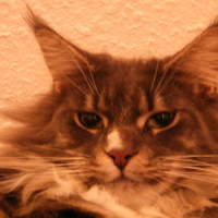Photo de profil de Début d'année