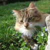 Photo de La touffe