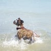 Photo de Uroy