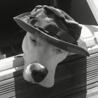 Photo de profil de Baya