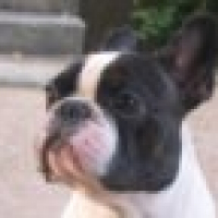 Photo de profil de U'ston