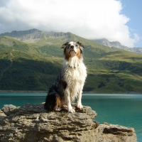 Photo de profil de Calypso blue ice