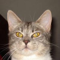 Photo de profil de Djerba