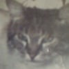 Photo de Gandalf