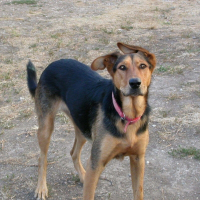 Photo de profil de Titoon