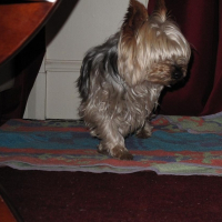 Photo de profil de Twini