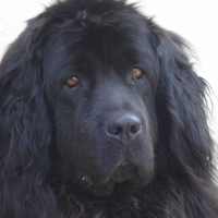 Photo de profil de Venus