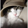 Photo de Baloo