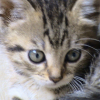 Photo de Zora