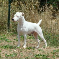 Photo de profil de Vipper