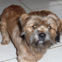 Photo de profil de Benco