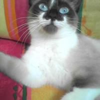 Photo de profil de Kanelle