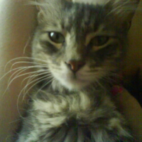 Photo de profil de Beaver