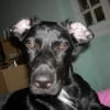 Photo de Moka