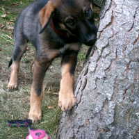 Photo de profil de Eachie