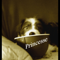 Photo de profil de Princesse