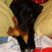 Photo de profil de Luna