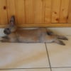 Photo de Winnie