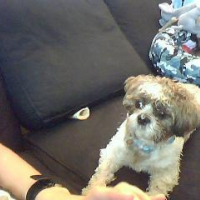 Photo de profil de Droopy