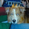Photo de Neo