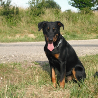 Photo de profil de Kaiser