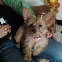 Photo de profil de Coxi