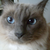 Photo de Titi