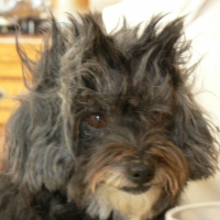Photo de profil de Ninny